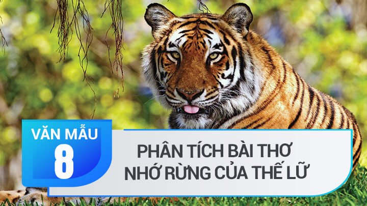 bài thơ Nhớ rừng