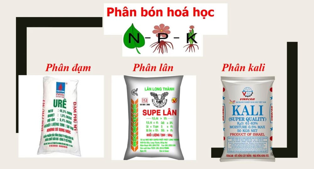 Phân bón hoá học